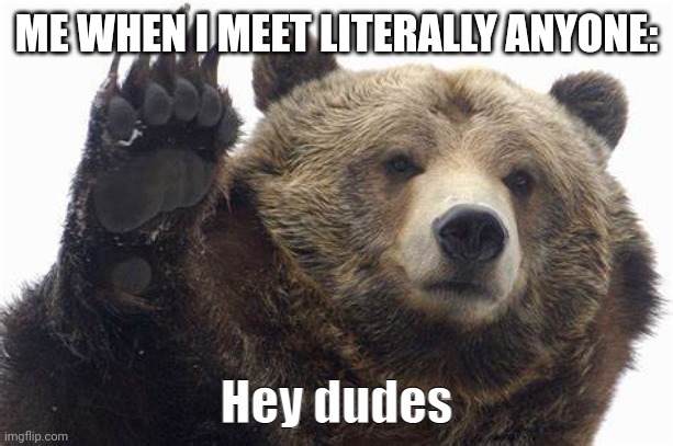 Bear Hey dudes | ME WHEN I MEET LITERALLY ANYONE: | image tagged in bear hey dudes | made w/ Imgflip meme maker