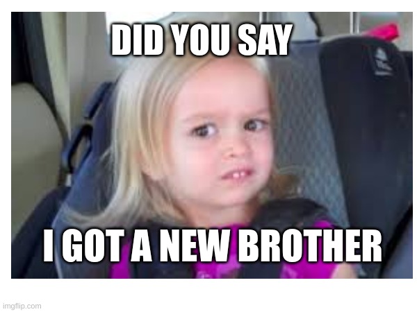 DID YOU SAY; I GOT A NEW BROTHER | image tagged in memes | made w/ Imgflip meme maker