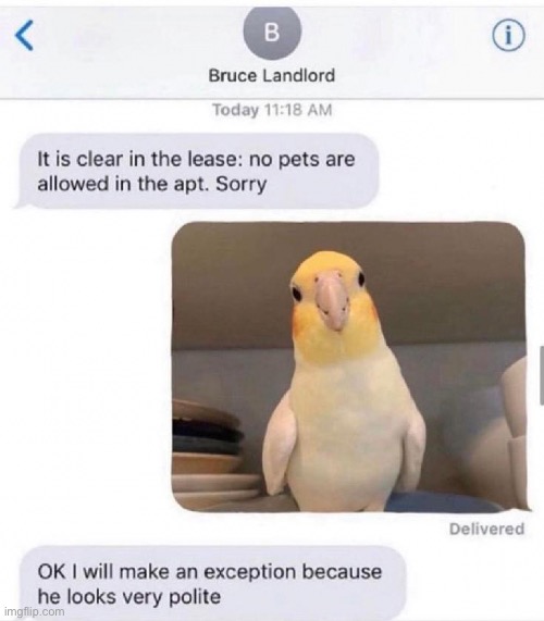 polite parrot pog | image tagged in memes,unfunny | made w/ Imgflip meme maker