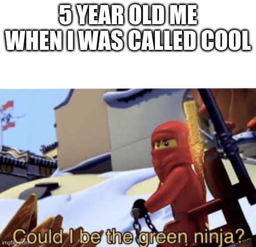 my brain cut out on this one | 5 YEAR OLD ME WHEN I WAS CALLED COOL | image tagged in could i be the green ninja | made w/ Imgflip meme maker