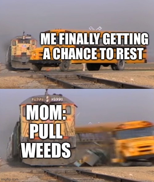 I ever get rest | ME FINALLY GETTING A CHANCE TO REST; MOM: PULL WEEDS | image tagged in a train hitting a school bus | made w/ Imgflip meme maker