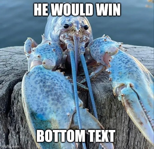 The Blue Lobster | HE WOULD WIN BOTTOM TEXT | image tagged in the blue lobster | made w/ Imgflip meme maker
