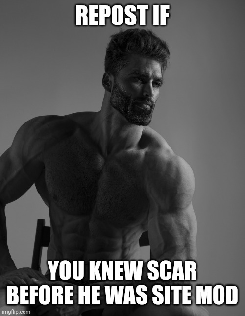 The old days | REPOST IF; YOU KNEW SCAR BEFORE HE WAS SITE MOD | image tagged in giga chad | made w/ Imgflip meme maker