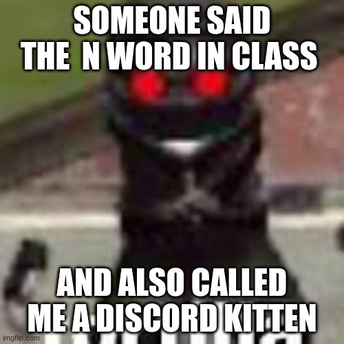 tortilla | SOMEONE SAID THE  N WORD IN CLASS; AND ALSO CALLED ME A DISCORD KITTEN | image tagged in tortilla | made w/ Imgflip meme maker