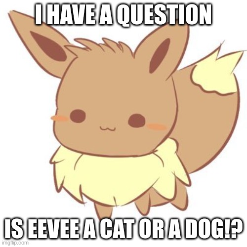 I think eevee is a cat tbh | I HAVE A QUESTION; IS EEVEE A CAT OR A DOG!? | image tagged in cat or dog,eevee | made w/ Imgflip meme maker