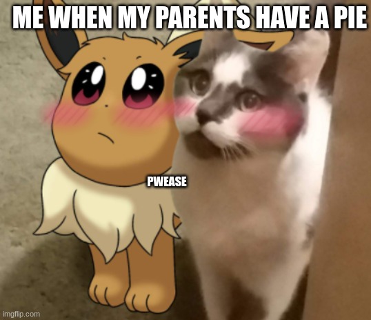 Pie | ME WHEN MY PARENTS HAVE A PIE; PWEASE | image tagged in eevee,cats,lol | made w/ Imgflip meme maker