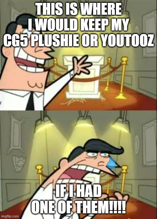 WHY MOMMY WHY!!? | THIS IS WHERE I WOULD KEEP MY CG5 PLUSHIE OR YOUTOOZ; IF I HAD ONE OF THEM!!!! | image tagged in memes,this is where i'd put my trophy if i had one | made w/ Imgflip meme maker