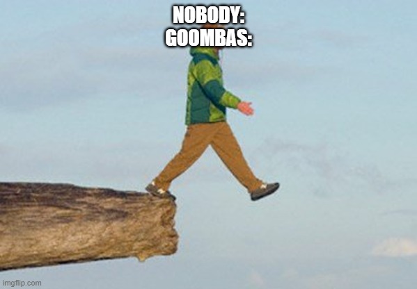 lol | NOBODY:
GOOMBAS: | image tagged in walking off cliff | made w/ Imgflip meme maker