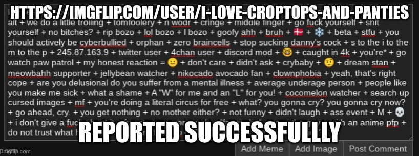 *successfully | HTTPS://IMGFLIP.COM/USER/I-LOVE-CROPTOPS-AND-PANTIES; REPORTED SUCCESSFULLLY | image tagged in l seethe cope mald | made w/ Imgflip meme maker