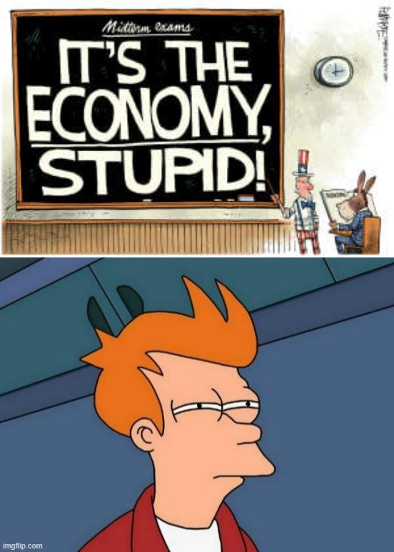 Squinting, still can't see. Not sure if those are letters. Are those words? | image tagged in 2022 midterms it's the economy stupid,memes,futurama fry,2022,midterms,out-of-place futurama fry | made w/ Imgflip meme maker