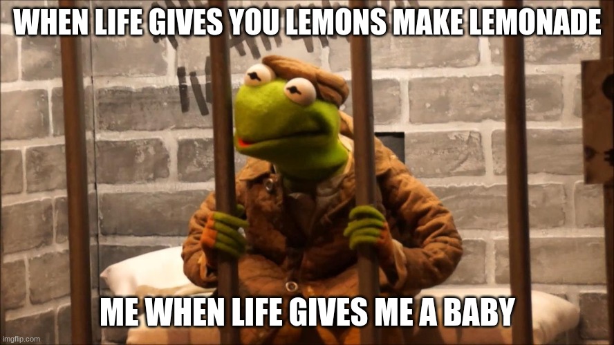 What did I do | WHEN LIFE GIVES YOU LEMONS MAKE LEMONADE; ME WHEN LIFE GIVES ME A BABY | image tagged in kermit in jail,kermit the frog | made w/ Imgflip meme maker