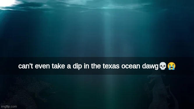 can't even take a dip in the texas ocean dawg💀😭 | made w/ Imgflip meme maker