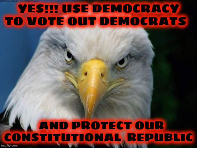 American Bald Eagle | YES!!! USE DEMOCRACY TO VOTE OUT DEMOCRATS AND PROTECT OUR CONSTITUTIONAL  REPUBLIC | image tagged in american bald eagle | made w/ Imgflip meme maker