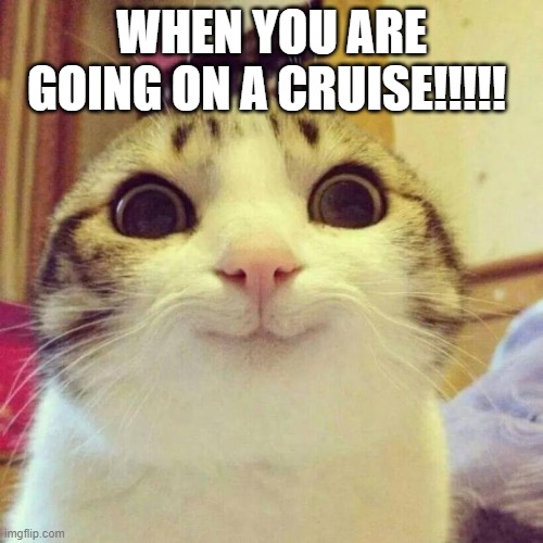 Smiling Cat Meme | WHEN YOU ARE GOING ON A CRUISE!!!!! | image tagged in memes,smiling cat | made w/ Imgflip meme maker