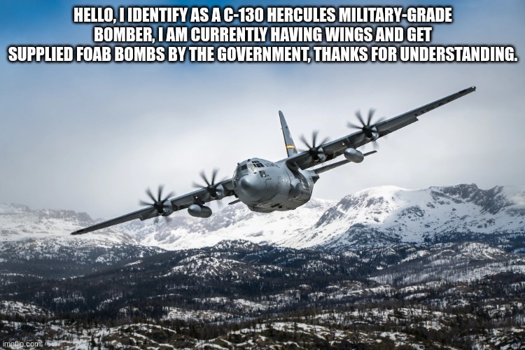 Thanks. | HELLO, I IDENTIFY AS A C-130 HERCULES MILITARY-GRADE BOMBER, I AM CURRENTLY HAVING WINGS AND GET SUPPLIED FOAB BOMBS BY THE GOVERNMENT, THANKS FOR UNDERSTANDING. | image tagged in c-130 hercules | made w/ Imgflip meme maker