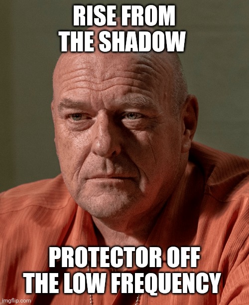 Hank | RISE FROM THE SHADOW; PROTECTOR OFF THE LOW FREQUENCY | image tagged in hank | made w/ Imgflip meme maker
