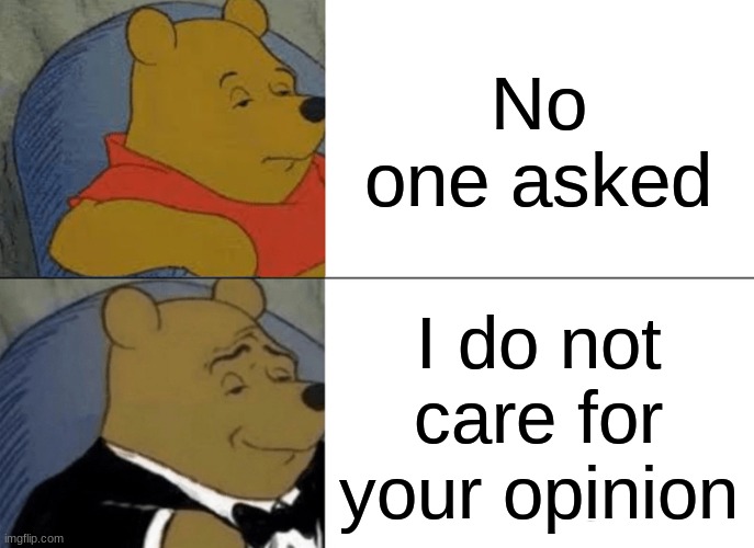 Tuxedo Winnie The Pooh | No one asked; I do not care for your opinion | image tagged in memes,tuxedo winnie the pooh | made w/ Imgflip meme maker