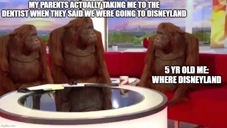 Meme #9 | MY PARENTS ACTUALLY TAKING ME TO THE DENTIST WHEN THEY SAID WE WERE GOING TO DISNEYLAND; 5 YR OLD ME: WHERE DISNEYLAND | image tagged in where monkey | made w/ Imgflip meme maker