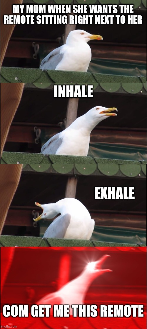 Inhaling Seagull Meme | MY MOM WHEN SHE WANTS THE REMOTE SITTING RIGHT NEXT TO HER; INHALE; EXHALE; COM GET ME THIS REMOTE | image tagged in memes,inhaling seagull | made w/ Imgflip meme maker