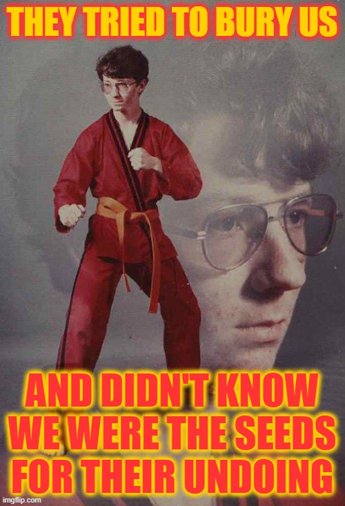 Karate Kyle Meme | THEY TRIED TO BURY US AND DIDN'T KNOW WE WERE THE SEEDS FOR THEIR UNDOING | image tagged in memes,karate kyle | made w/ Imgflip meme maker