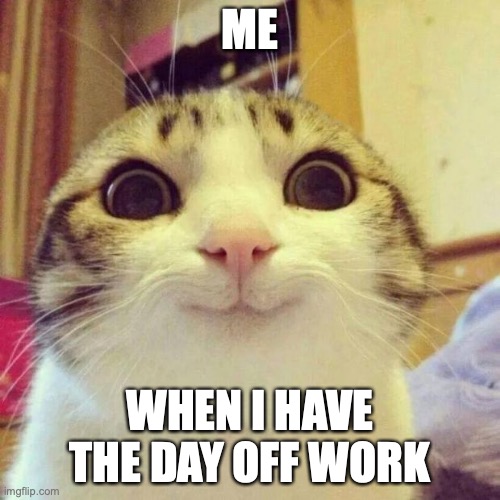 Day off work | ME; WHEN I HAVE THE DAY OFF WORK | image tagged in memes,smiling cat | made w/ Imgflip meme maker