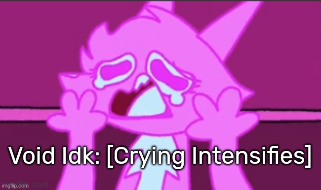 Sad Fuzzy Man | Void Idk: [Crying Intensifies] | image tagged in sad fuzzy man | made w/ Imgflip meme maker