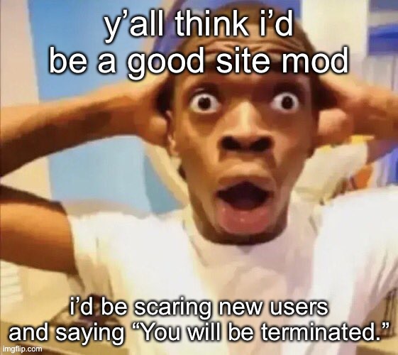 LMFOAOOOOOSOAO BYE | y’all think i’d be a good site mod; i’d be scaring new users and saying “You will be terminated.” | image tagged in in shock | made w/ Imgflip meme maker