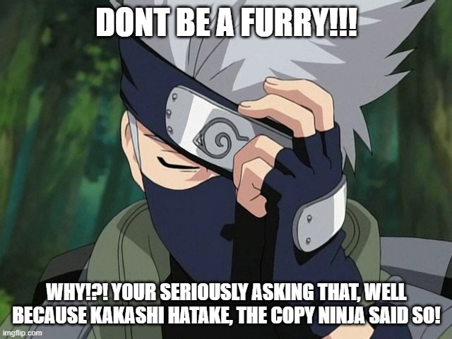 kakashi wants you not to be a furry | DONT BE A FURRY!!! WHY!?! YOUR SERIOUSLY ASKING THAT, WELL BECAUSE KAKASHI HATAKE, THE COPY NINJA SAID SO! | image tagged in hatake kakashi | made w/ Imgflip meme maker