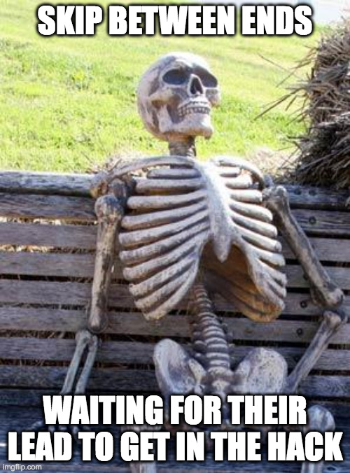 Skip waiting | SKIP BETWEEN ENDS; WAITING FOR THEIR LEAD TO GET IN THE HACK | image tagged in memes,waiting skeleton | made w/ Imgflip meme maker