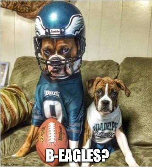 B-Eagles? | B-EAGLES? | image tagged in bad pun dog,dogs,nfl football,football meme | made w/ Imgflip meme maker