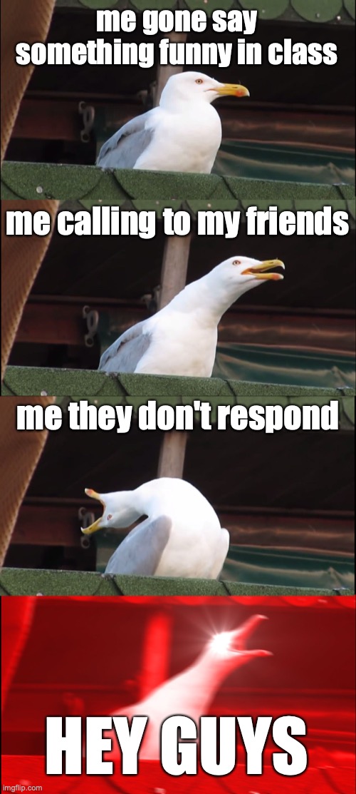 Inhaling Seagull Meme | me gone say something funny in class; me calling to my friends; me they don't respond; HEY GUYS | image tagged in memes,inhaling seagull | made w/ Imgflip meme maker