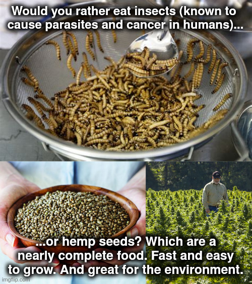 Insects vs Hemp Seeds | Would you rather eat insects (known to 
cause parasites and cancer in humans)... ...or hemp seeds? Which are a nearly complete food. Fast and easy to grow. And great for the environment. | image tagged in cannabis,wef,great reset,bugs | made w/ Imgflip meme maker