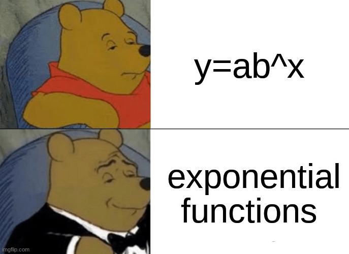 exponential functions vs y=ab^x | y=ab^x; exponential functions | image tagged in memes,tuxedo winnie the pooh | made w/ Imgflip meme maker