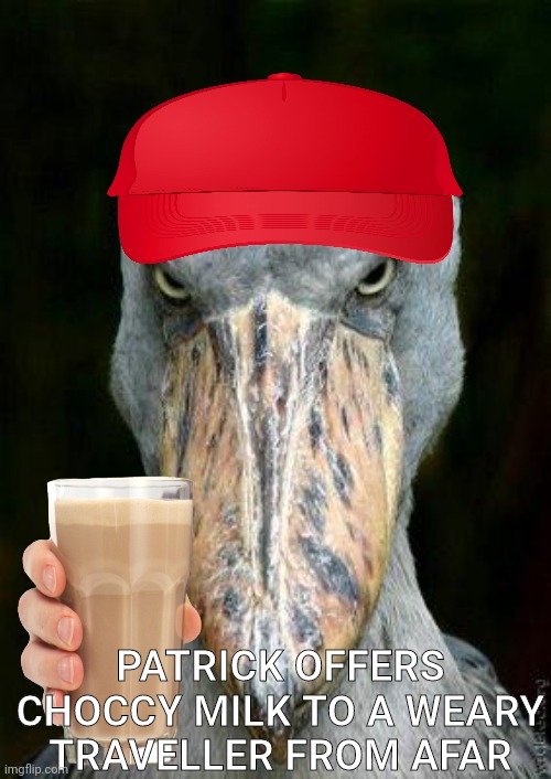 Scary bird | PATRICK OFFERS CHOCCY MILK TO A WEARY TRAVELLER FROM AFAR | image tagged in scary bird | made w/ Imgflip meme maker