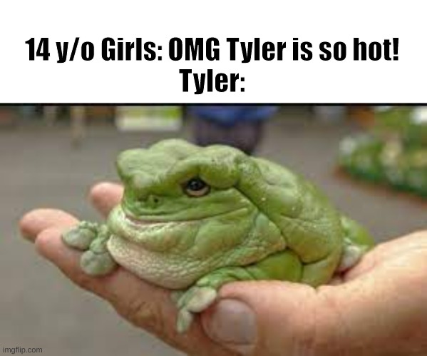 Tyler is not so hot | 14 y/o Girls: OMG Tyler is so hot!
Tyler: | image tagged in tyler,why are you reading this | made w/ Imgflip meme maker