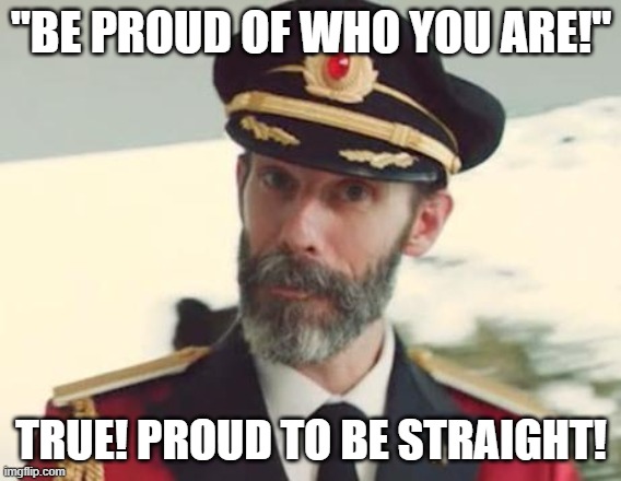 Proud to be Straight! | "BE PROUD OF WHO YOU ARE!"; TRUE! PROUD TO BE STRAIGHT! | image tagged in captain obvious,proud,straight | made w/ Imgflip meme maker
