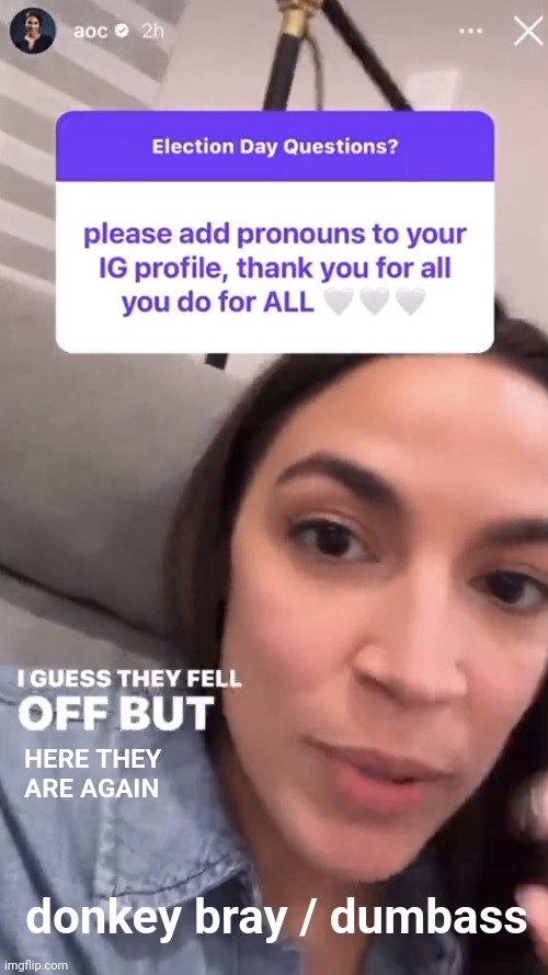AOC puts her pronouns back on IG | HERE THEY
ARE AGAIN; donkey bray / dumbass | image tagged in memes,instagram,alexandria ocasio-cortez,aoc,pronouns,donkey bray dumbass | made w/ Imgflip meme maker