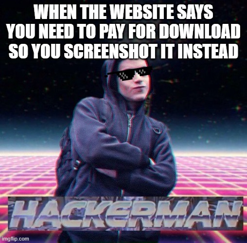 Yep im a hackerman | WHEN THE WEBSITE SAYS YOU NEED TO PAY FOR DOWNLOAD SO YOU SCREENSHOT IT INSTEAD | image tagged in hackerman | made w/ Imgflip meme maker