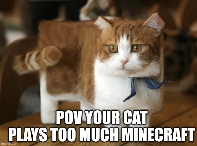 Me as a cat lol |  POV YOUR CAT PLAYS TOO MUCH MINECRAFT | image tagged in minecraft,cat,this is my life | made w/ Imgflip meme maker