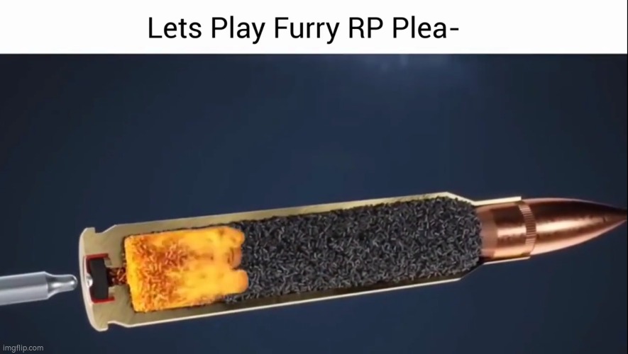 No. | image tagged in anti furry,dies from cringe,bullets | made w/ Imgflip meme maker