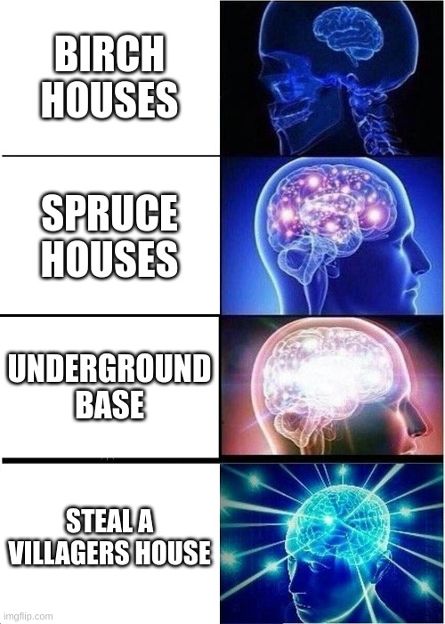 houses in minecraft | BIRCH HOUSES; SPRUCE HOUSES; UNDERGROUND BASE; STEAL A VILLAGERS HOUSE | image tagged in memes,expanding brain | made w/ Imgflip meme maker