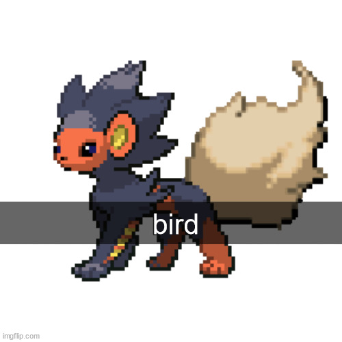 a | bird | image tagged in true demigod flareon | made w/ Imgflip meme maker