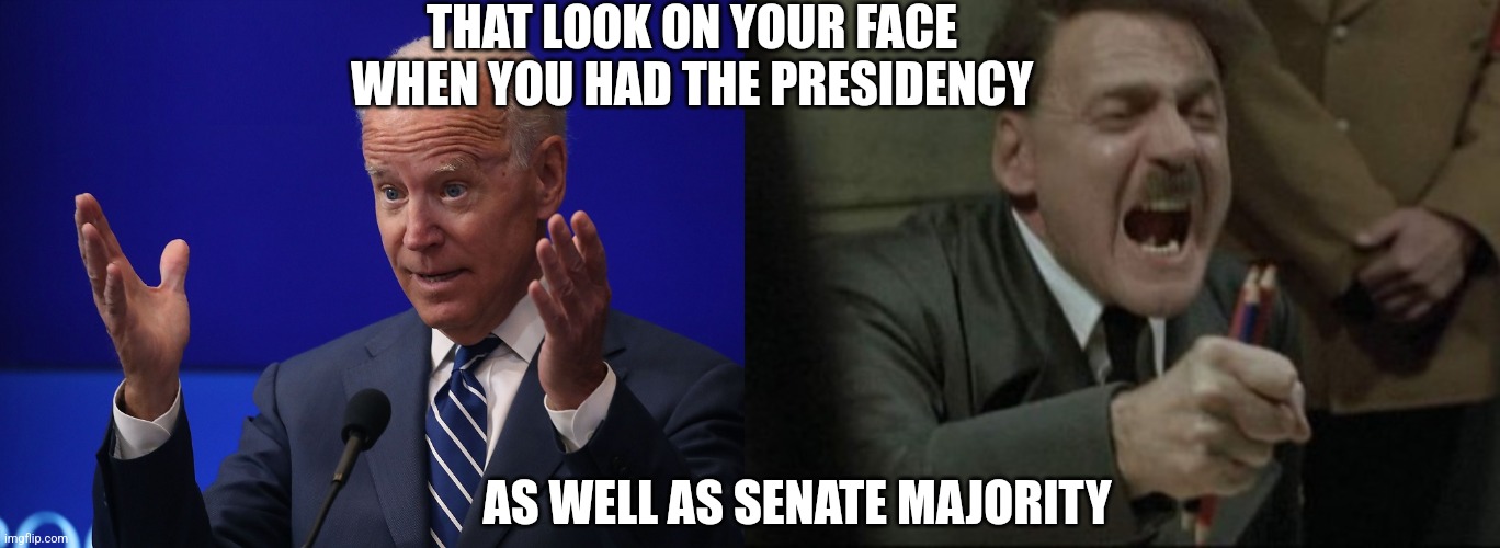 THAT LOOK ON YOUR FACE WHEN YOU HAD THE PRESIDENCY; AS WELL AS SENATE MAJORITY | image tagged in joe biden - hands up,hitler downfall | made w/ Imgflip meme maker