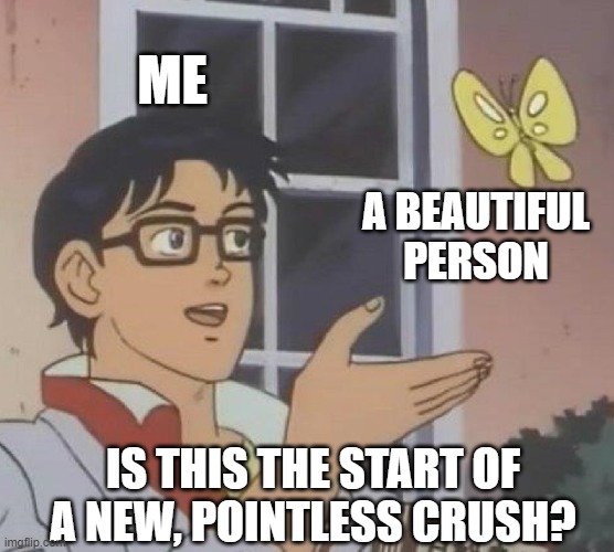 the thoughts of an omni | ME; A BEAUTIFUL PERSON; IS THIS THE START OF A NEW, POINTLESS CRUSH? | image tagged in memes,is this a pigeon | made w/ Imgflip meme maker