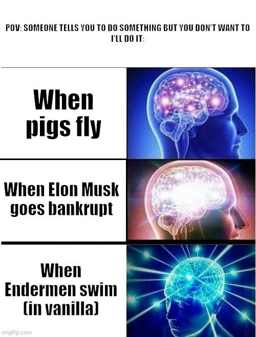 Never | POV: SOMEONE TELLS YOU TO DO SOMETHING BUT YOU DON'T WANT TO

I'LL DO IT:; When pigs fly; When Elon Musk goes bankrupt; When Endermen swim (in vanilla) | image tagged in expanding brain 3 panels | made w/ Imgflip meme maker