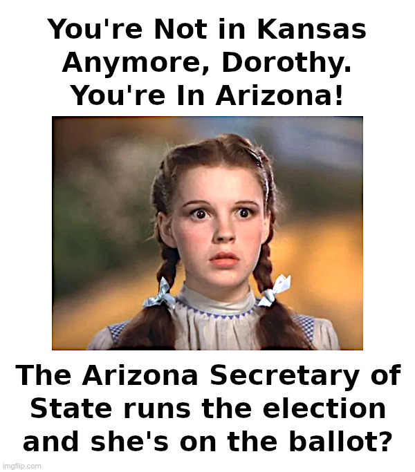 You're Not in Kansas Anymore, Dorothy. You're In Arizona! | image tagged in kansas,dorothy,arizona,secretary of state,election | made w/ Imgflip meme maker