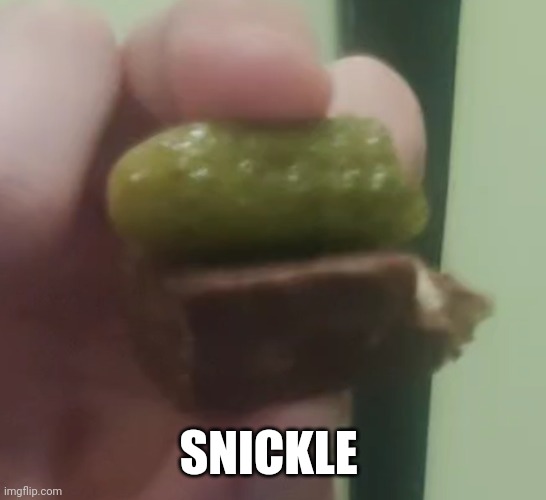 SNICKLE | made w/ Imgflip meme maker