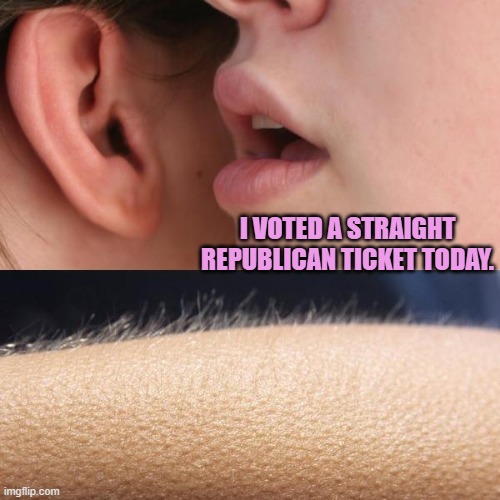 Some things are inherently sexy . . . but not to bog standard leftist beta-males, of course. | I VOTED A STRAIGHT REPUBLICAN TICKET TODAY. | image tagged in whisper and goosebumps | made w/ Imgflip meme maker