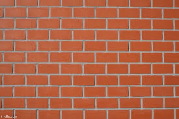 Just a brick wall | image tagged in brick wall | made w/ Imgflip meme maker