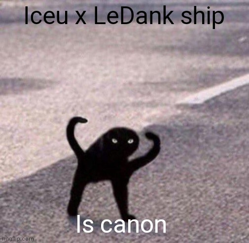 Cursed cat temp | Iceu x LeDank ship; Is canon | image tagged in cursed cat temp | made w/ Imgflip meme maker